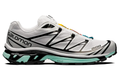 Salomon XT-6 