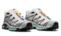 Salomon XT-6 
