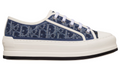 Walk'n'Dior Platform Sneaker 