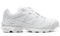 Salomon XT-6 