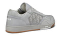 Dior B27 Low Top Sneaker Grey - ARABIA LUXURY