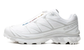 Salomon XT-6 