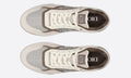 Dior B27 Low Top Sneaker 