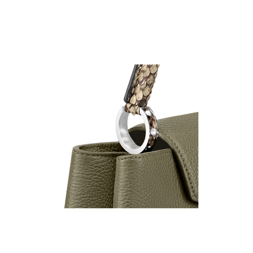 Louis Vuitton Capucines PM with Snakeskin Top Handle N93045 Gray 2020