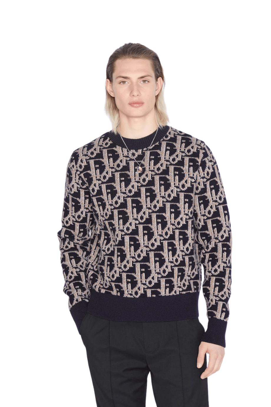 LOUIS VUITTON 1A9FQT sweatshirt LVSE LV Embossed Hoodie Long sleeve sweater